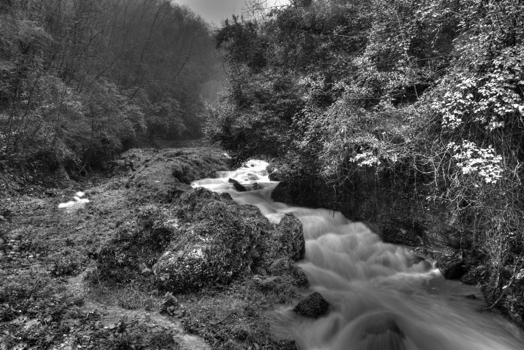 Stream