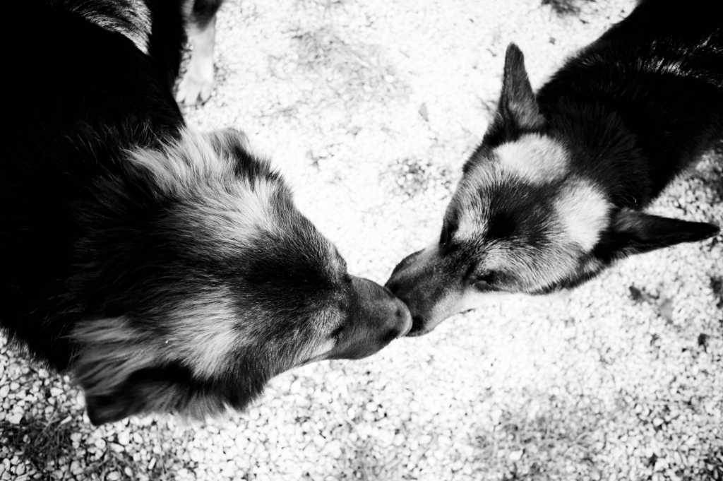 Love.