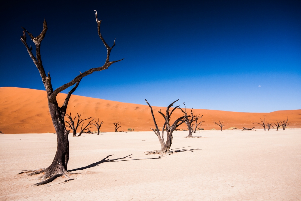 Namibia - Deadvlei