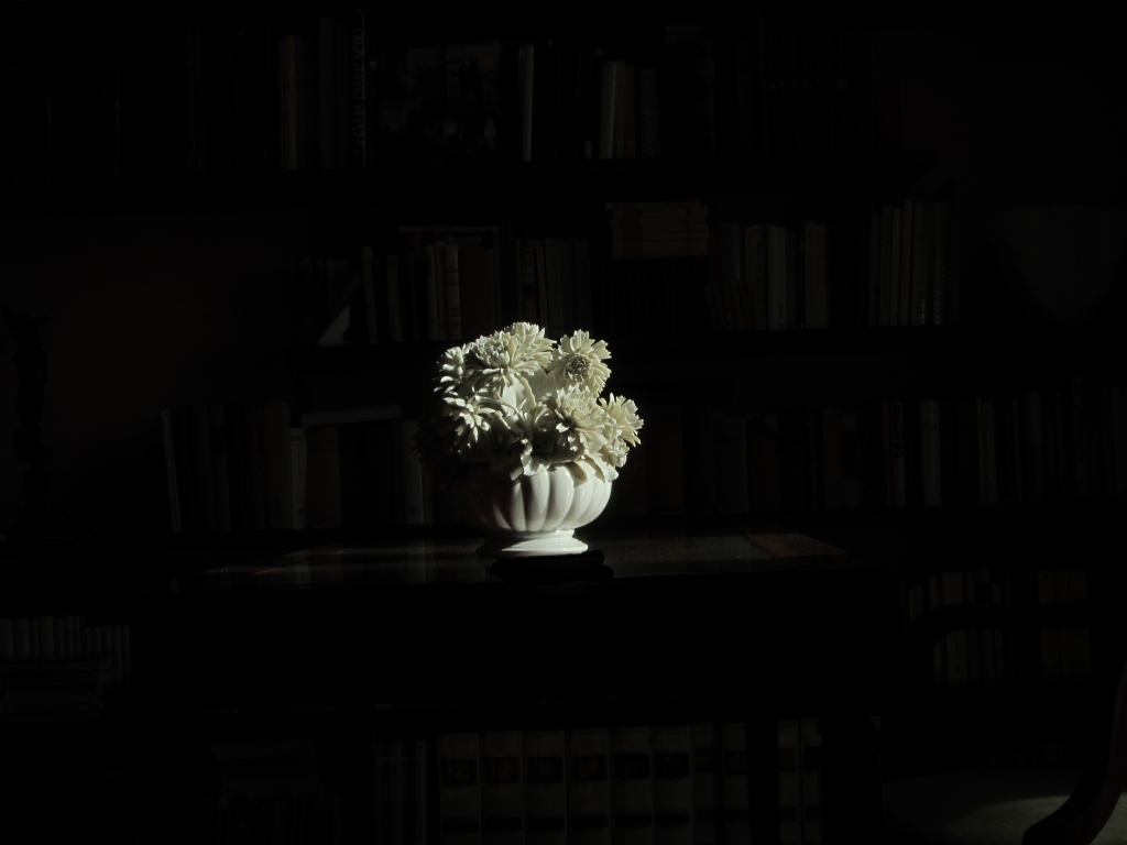 vaso di fiori