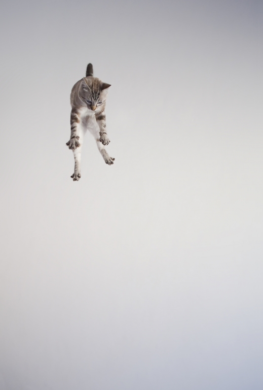 Jump!