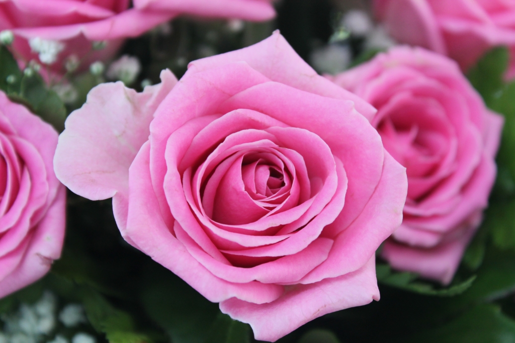 Fiore