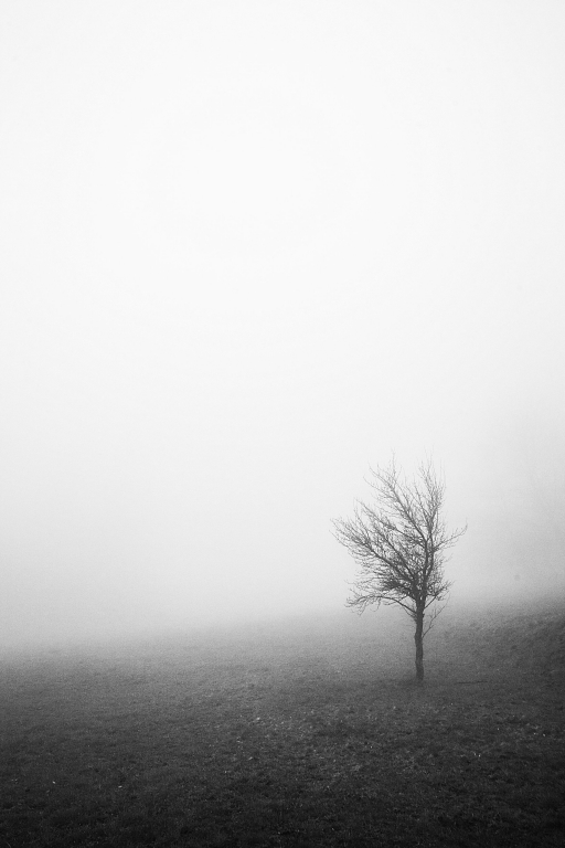 ...svanire...