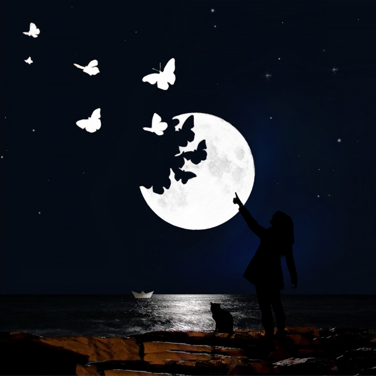 Luna  farfalle