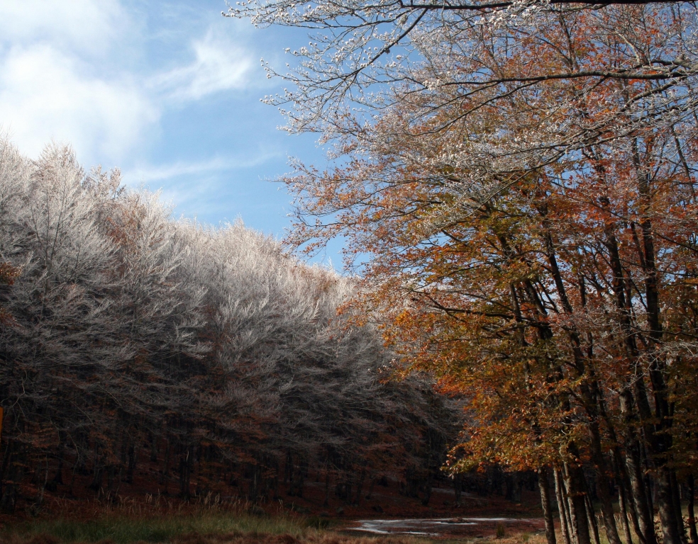 SPRUZZI D'AUTUNNO