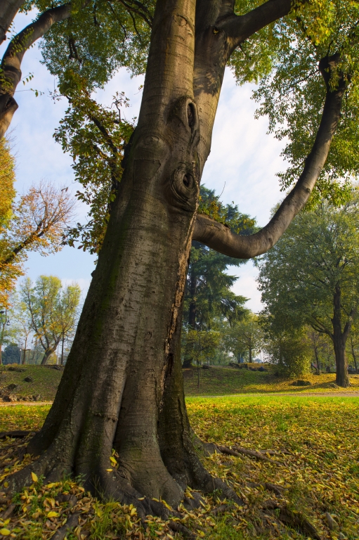 Autunno a Milano