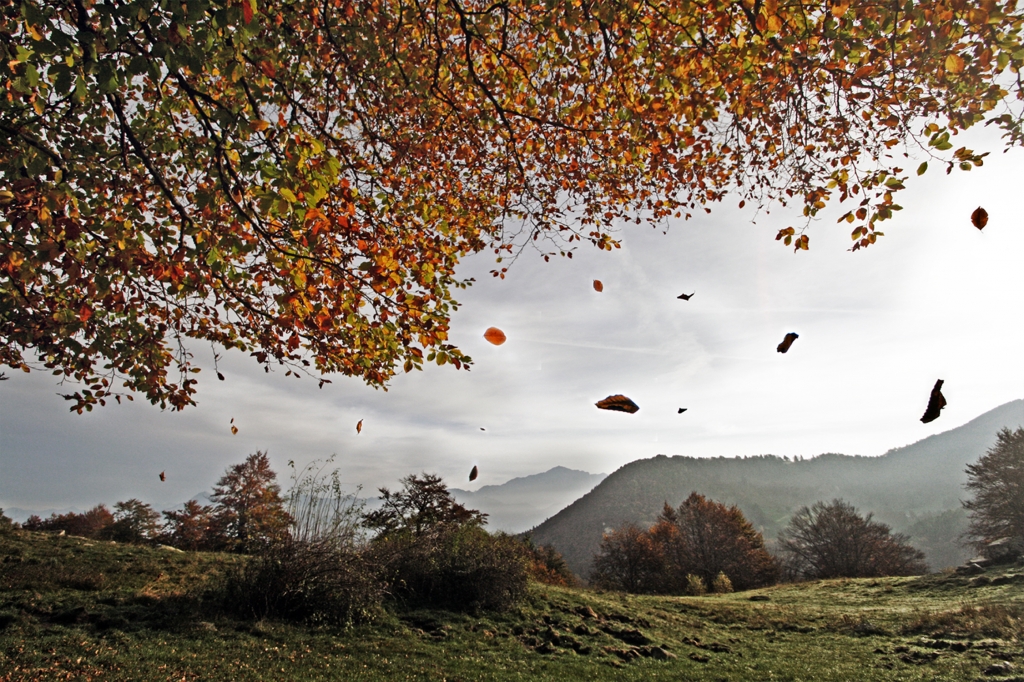 vento d'autunno