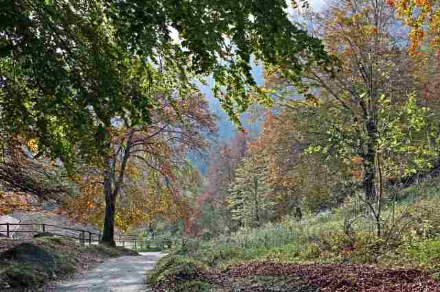 quadretto d'autunno