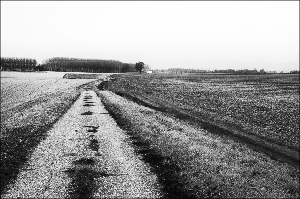 Campo