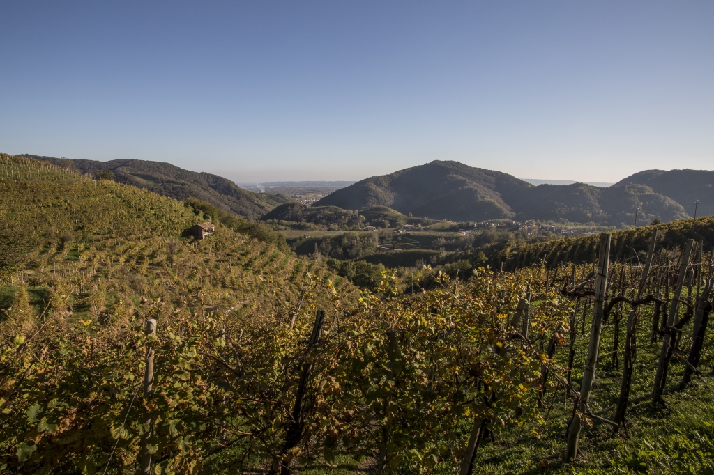 Valdobbiadene (TV)