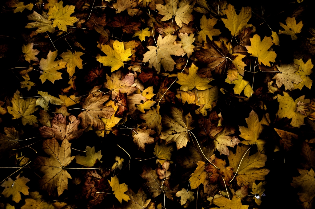 Autunno