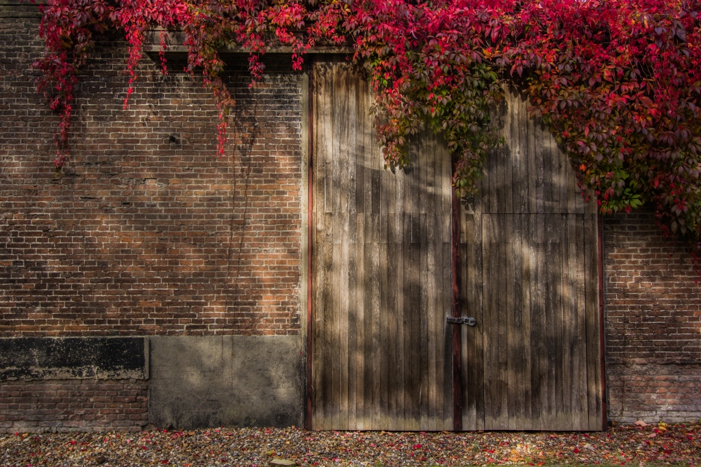 When autumn leaves start to fall...