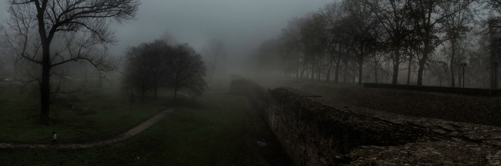 In the Fog
