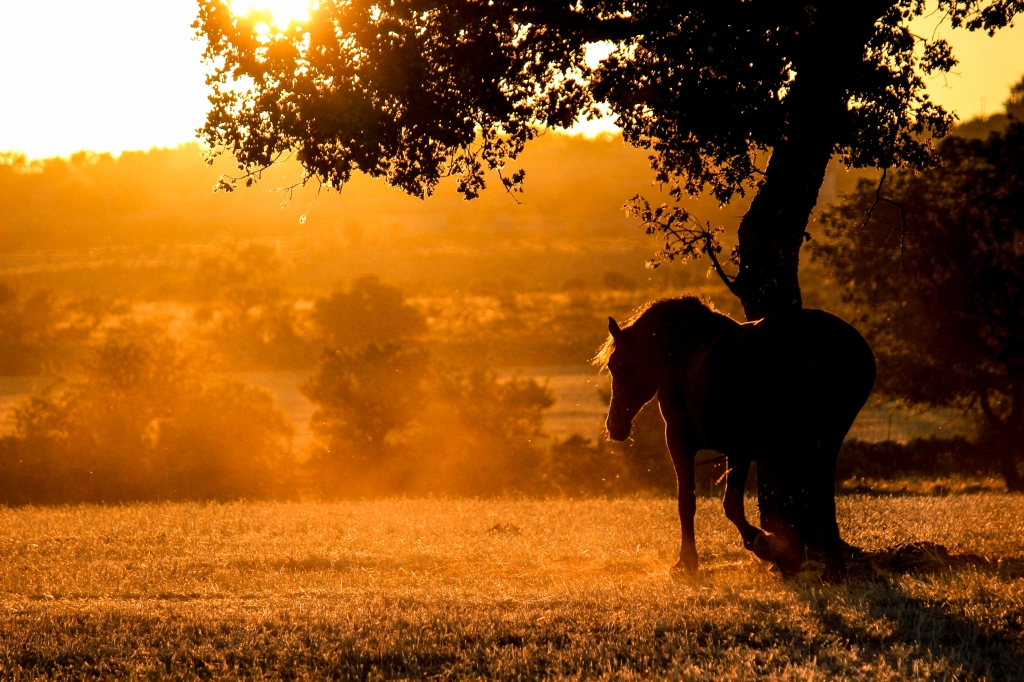 verso la luce