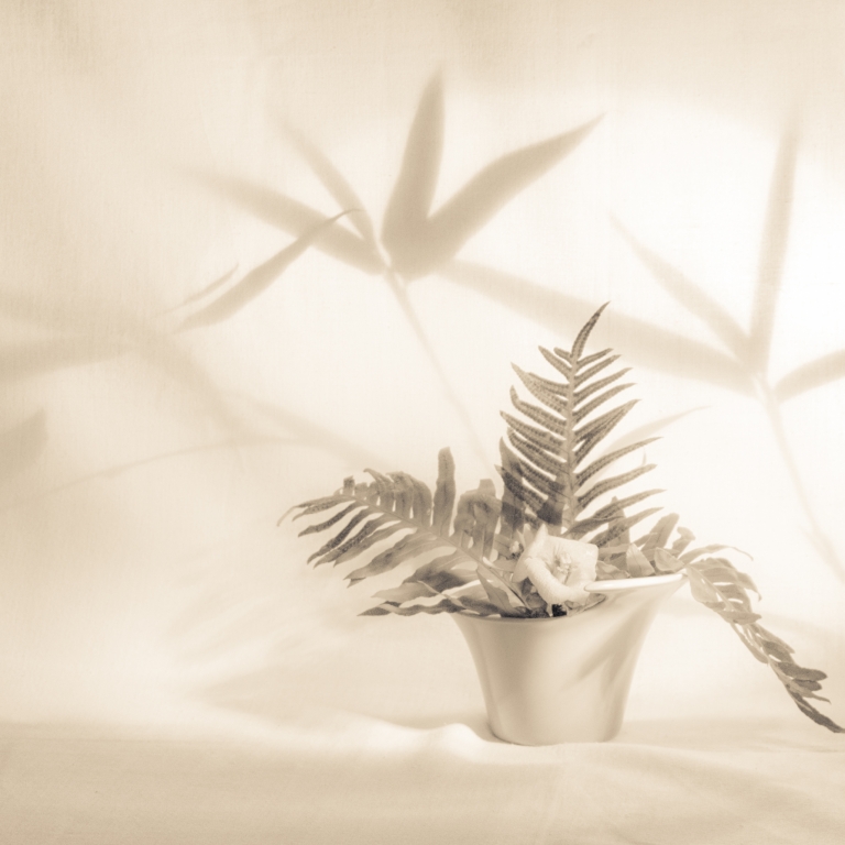 Ikebana