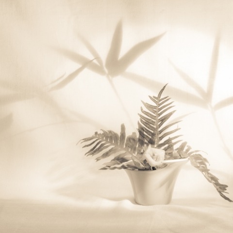Ikebana