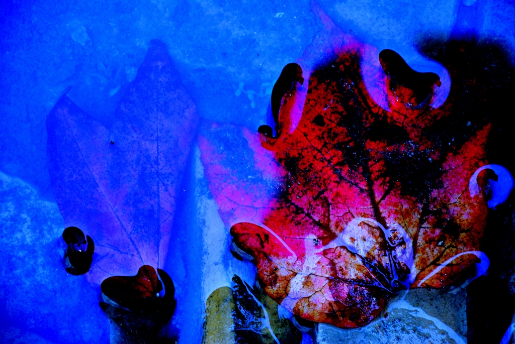 Autunno..blu