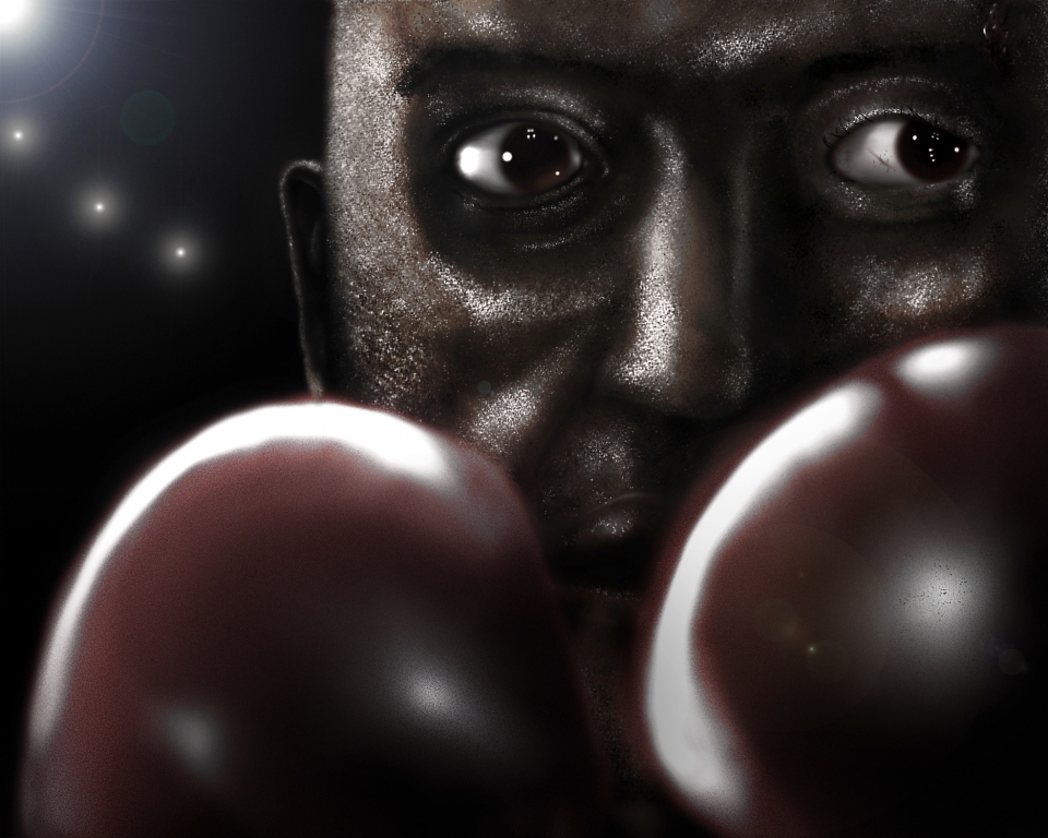 Boxer