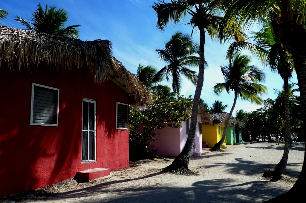 Colori