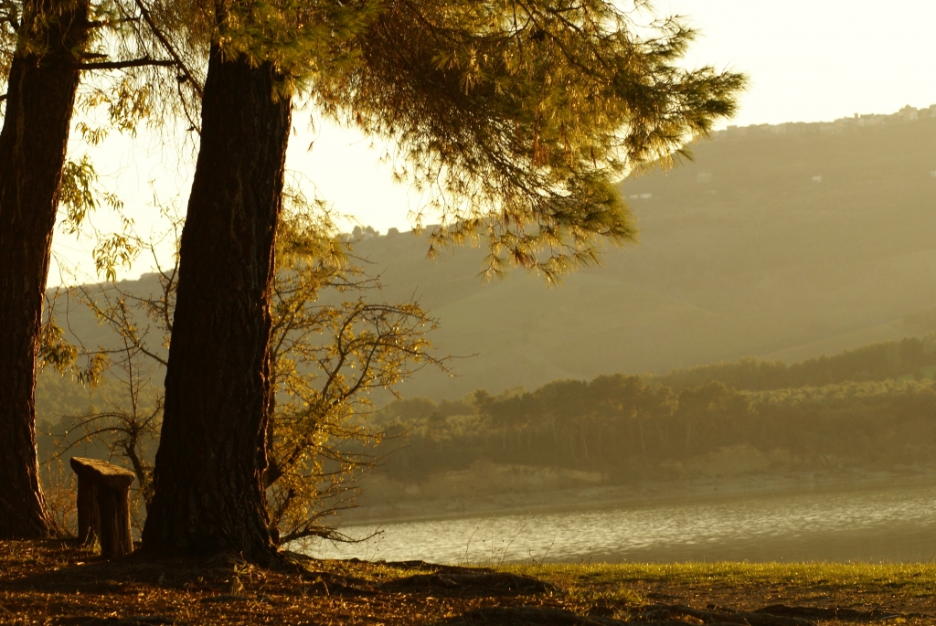 paesaggio innaturalmente naturale