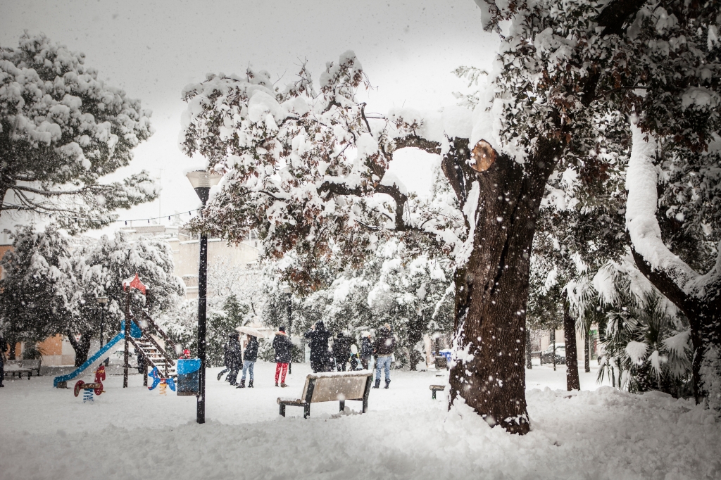 Colori nella neve