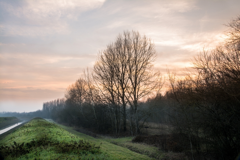 Thinking about the contryside