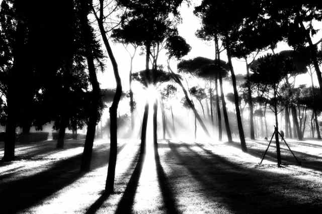 Rising Sun, Villa Borghese, Rome · davidefantasia