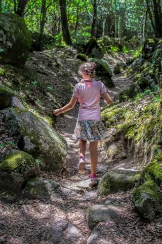 Passeggiata nella foresta