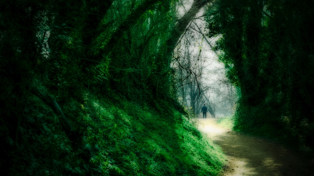 Perdersi nel bosco