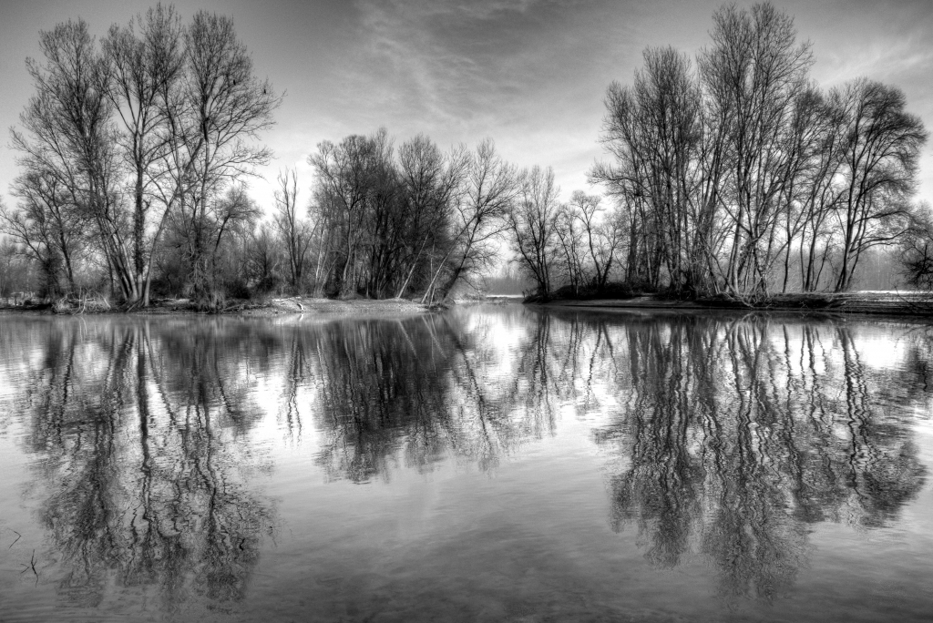 Riflessi