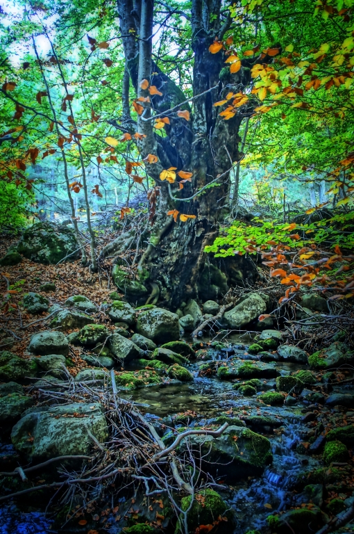 Aspettando qualcosa di magico