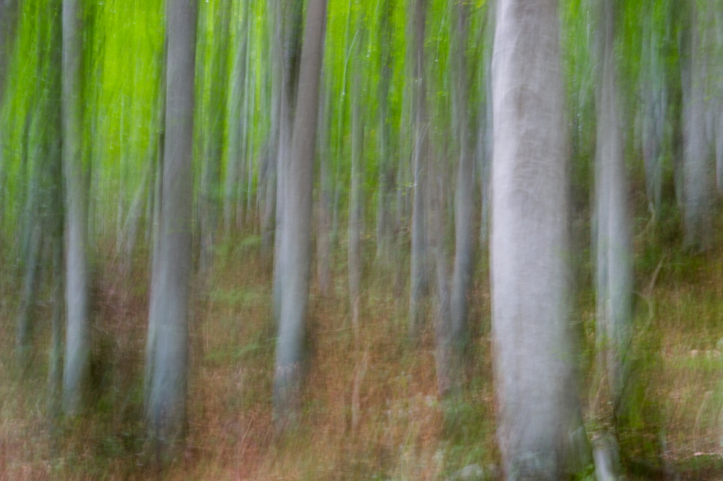 Vertical movement