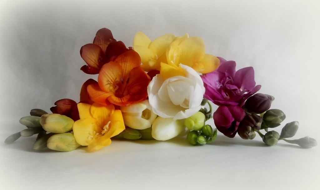 i colori della primavera