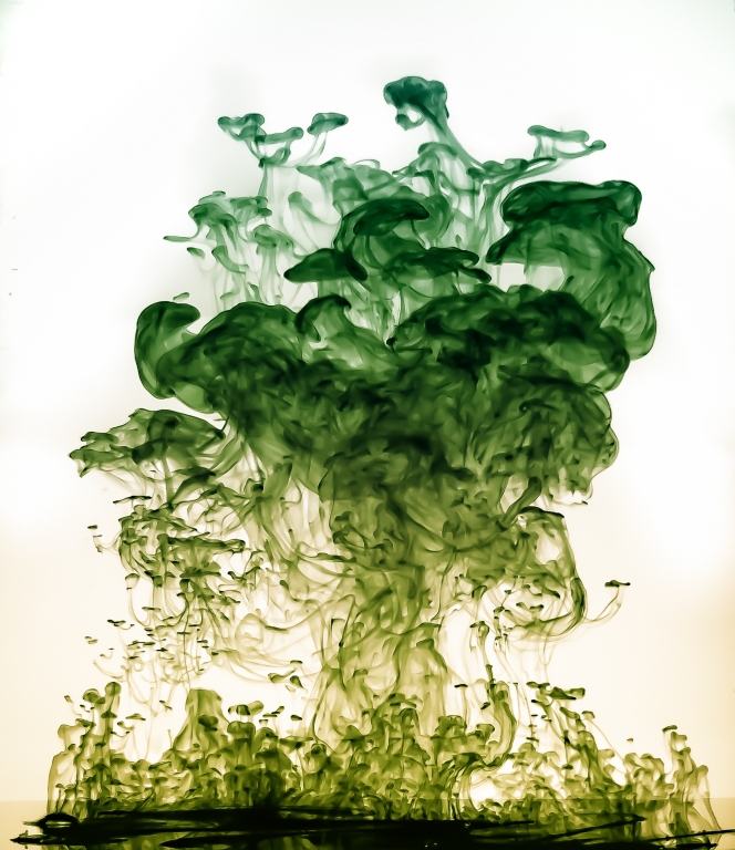 L'albero incantato