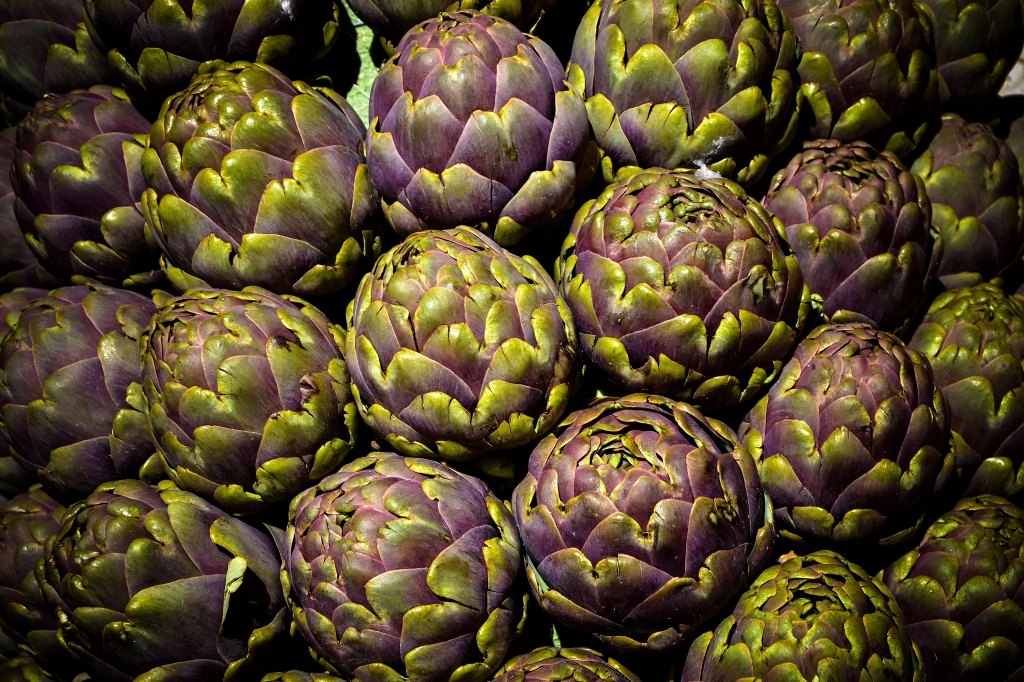 Cynara