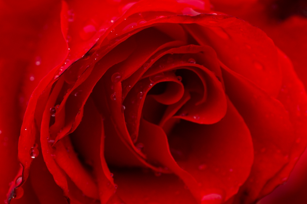 Rosso fuoco