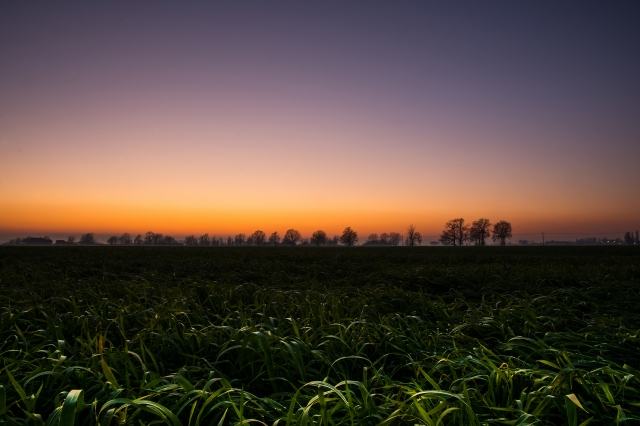 Good night countryside