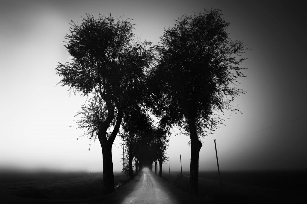 La strada nella nebbia