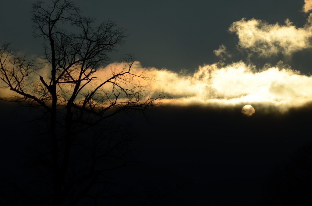 Winter dawn