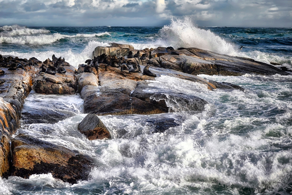 Seal Island