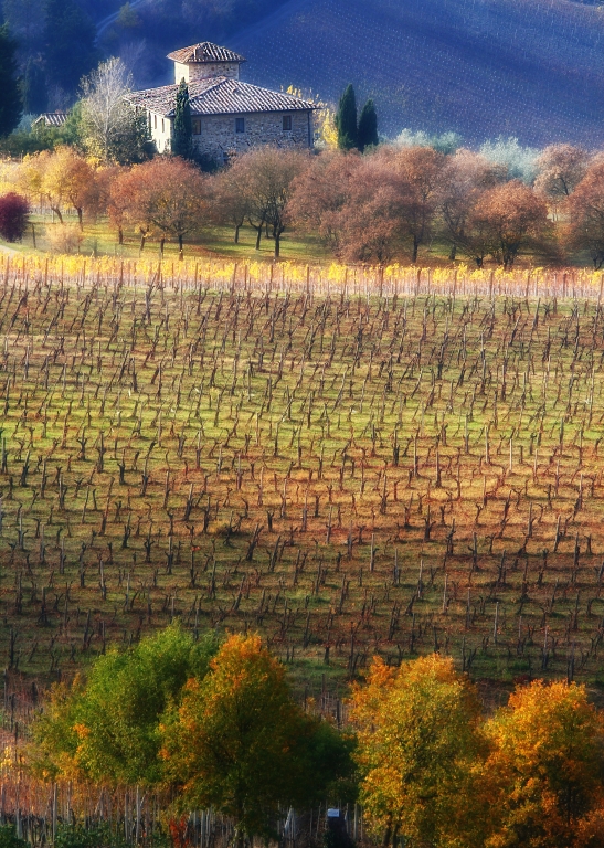 I colori dell'autunno toscano