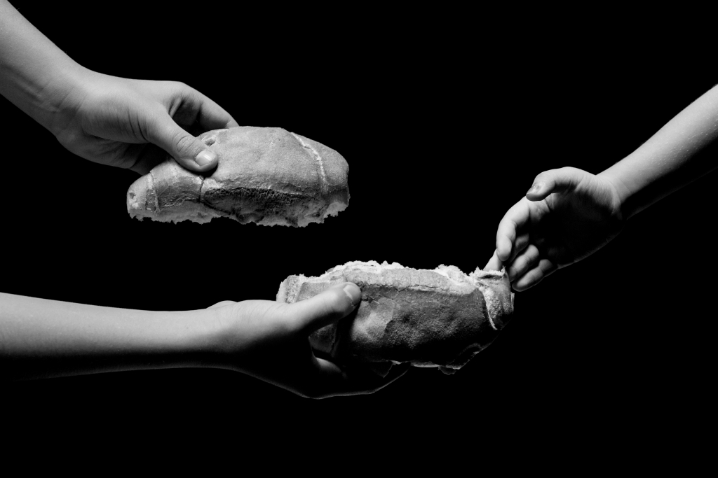 Feed The World