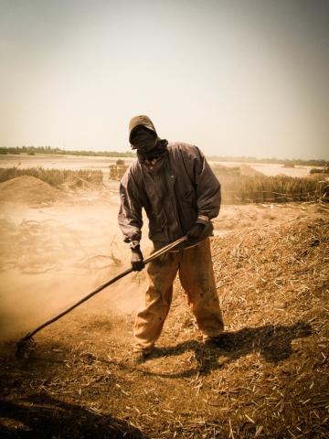 Senegal #02_ the invisible farmer_
