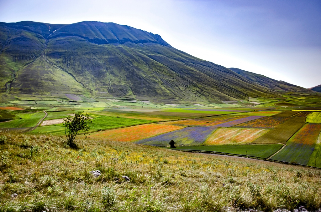 Piana di Castelluccio di Norcia