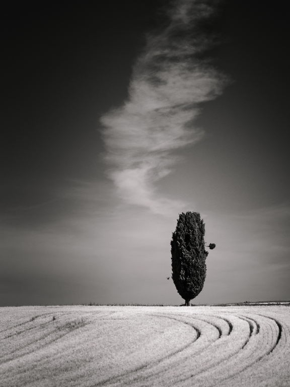 Defective tree