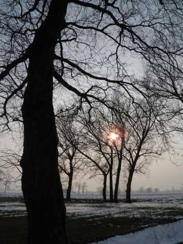 IL SILENZIO DELL'INVERNO
