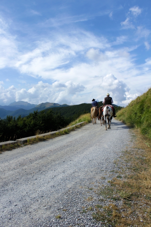 A cavallo