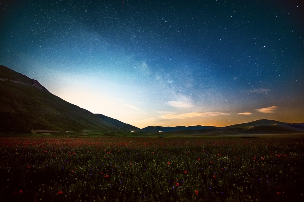 tra fiori e stelle