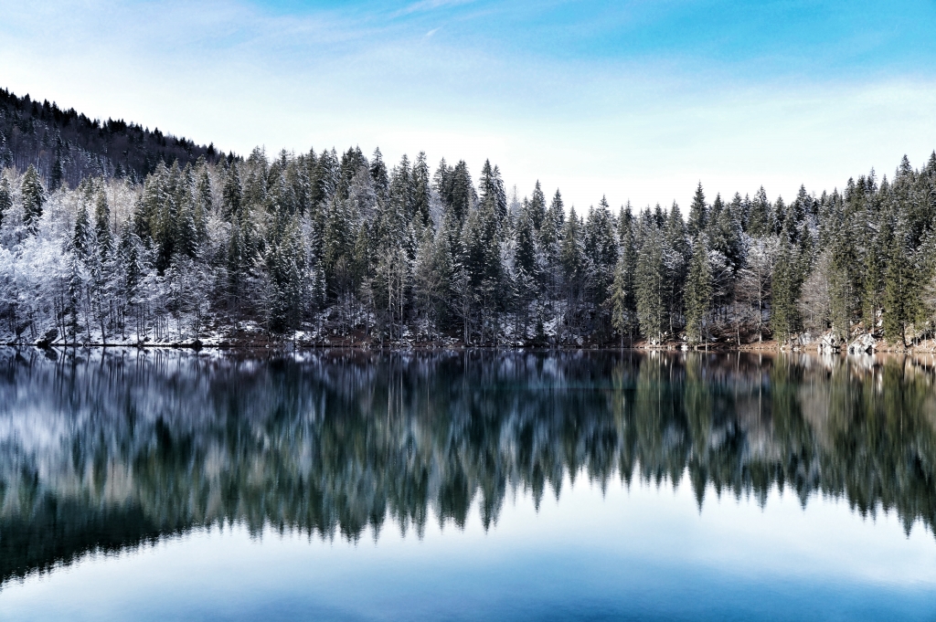 Lago di Fusine