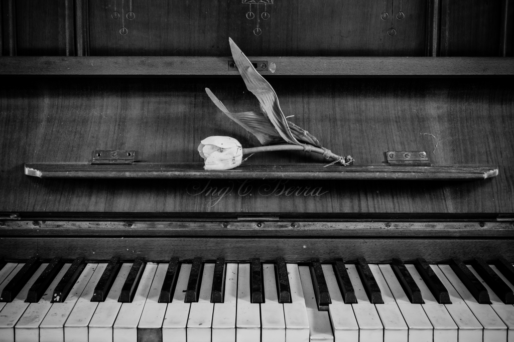 The real music is the silence